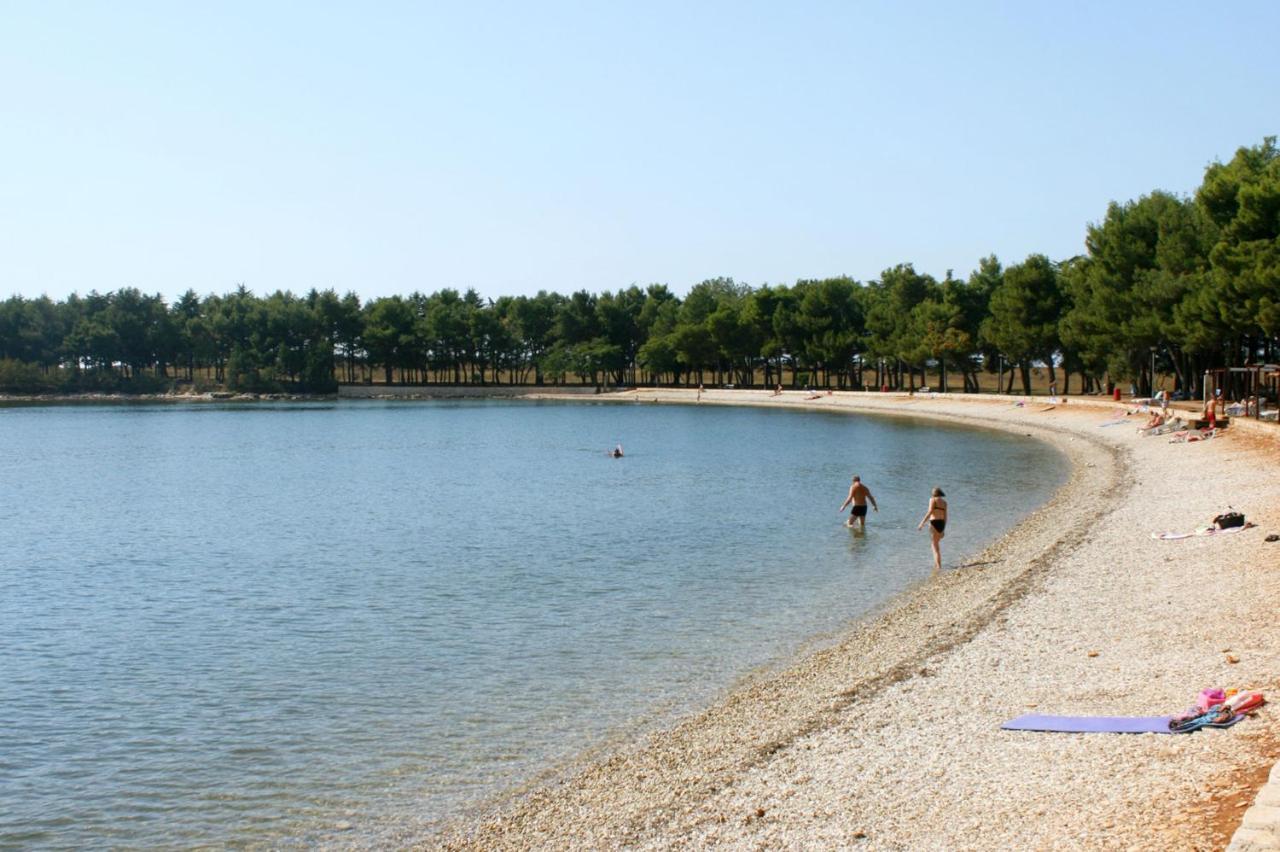 Apartments With A Swimming Pool Novigrad - 7078 Bagian luar foto