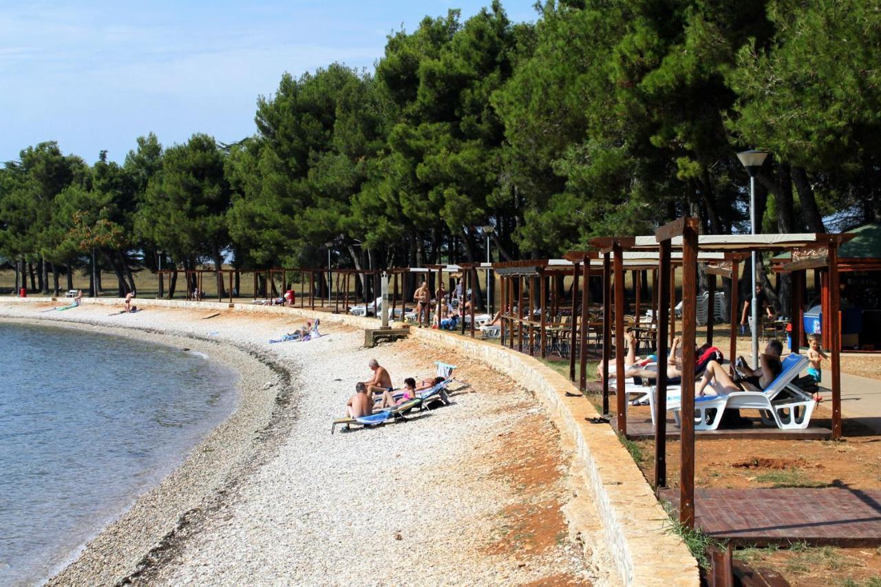 Apartments With A Swimming Pool Novigrad - 7078 Bagian luar foto